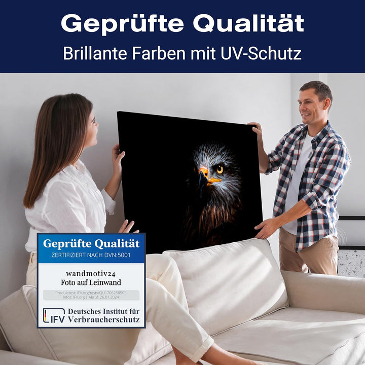 wandmotiv24 Leinwandbild Tiere 40x30cm, Querformat, Adler, Deko, Bilder auf Leinwand, Wanddeko, XXL