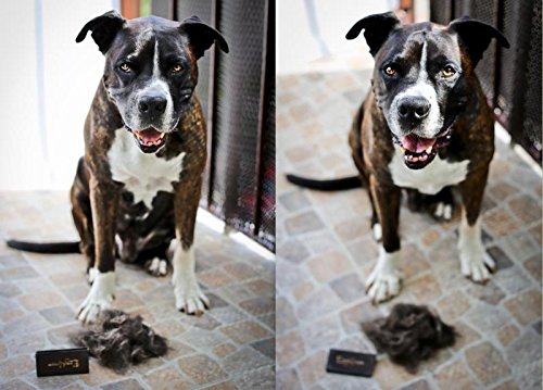 EzzyGroom Hundbürste Ezzy Katzenbürste Fellbürste Hit Fellpflege Hundekamm