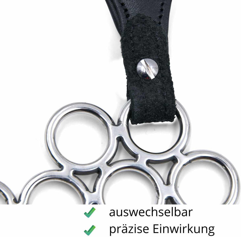 AMKA Barock Hackamore Glücksrad Edelstahl weich gepolstert mit Blumenmotiv Conchos am Nasenband, wei