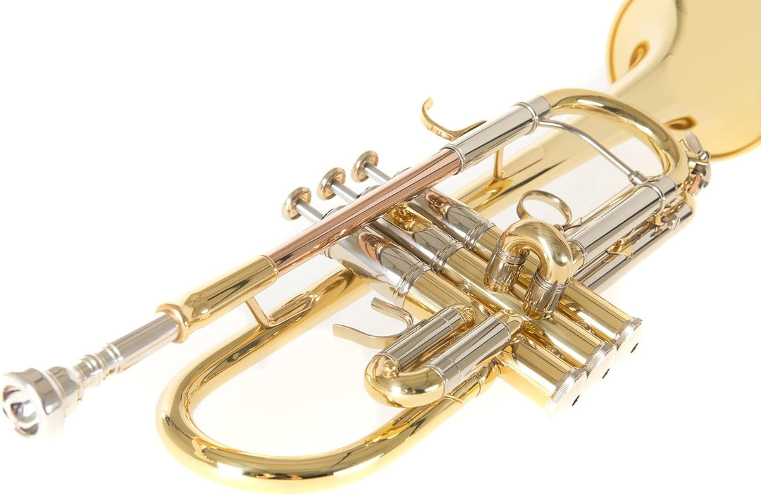 Roy Benson C-Trompete MOD.TR-402C + 1 Satz Bb Züge lackiert, inkl. Etui, TR-402C
