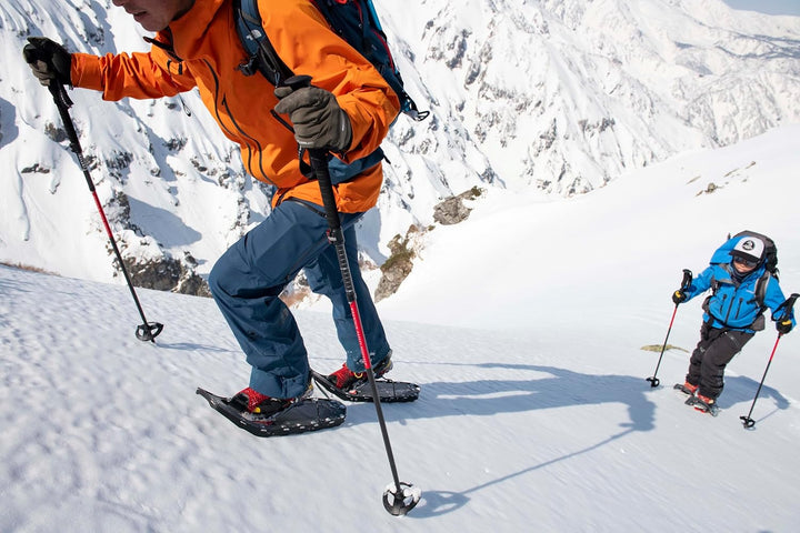 MSR DynaLock Ascent Faltbare Carbon Backcountry Trekkingstöcke, S
