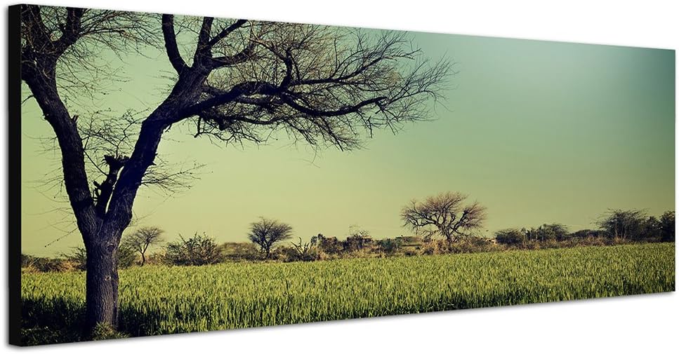 Paul Sinus Art Panoramabild auf Leinwand und Keilrahmen 150x50cm Landschaft Feld Bäume Vollmont Vint