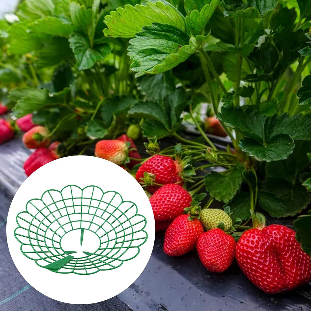 KEILEOHO 30 Stück Erdbeerreifer, 29 cm x 4,2 cm Erdbeerstützen Ständer Erdbeer Regal, Erdbeeren Schu