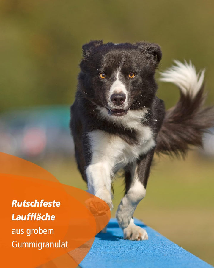 Agility-Wippe – FCI-konform – mit gummierter Lauffläche & Höhenverstellung – für sicheres Hundetrain