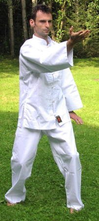 Kung Fu / Tai Chi Anzug weiss 160 Grün, 160 Grün