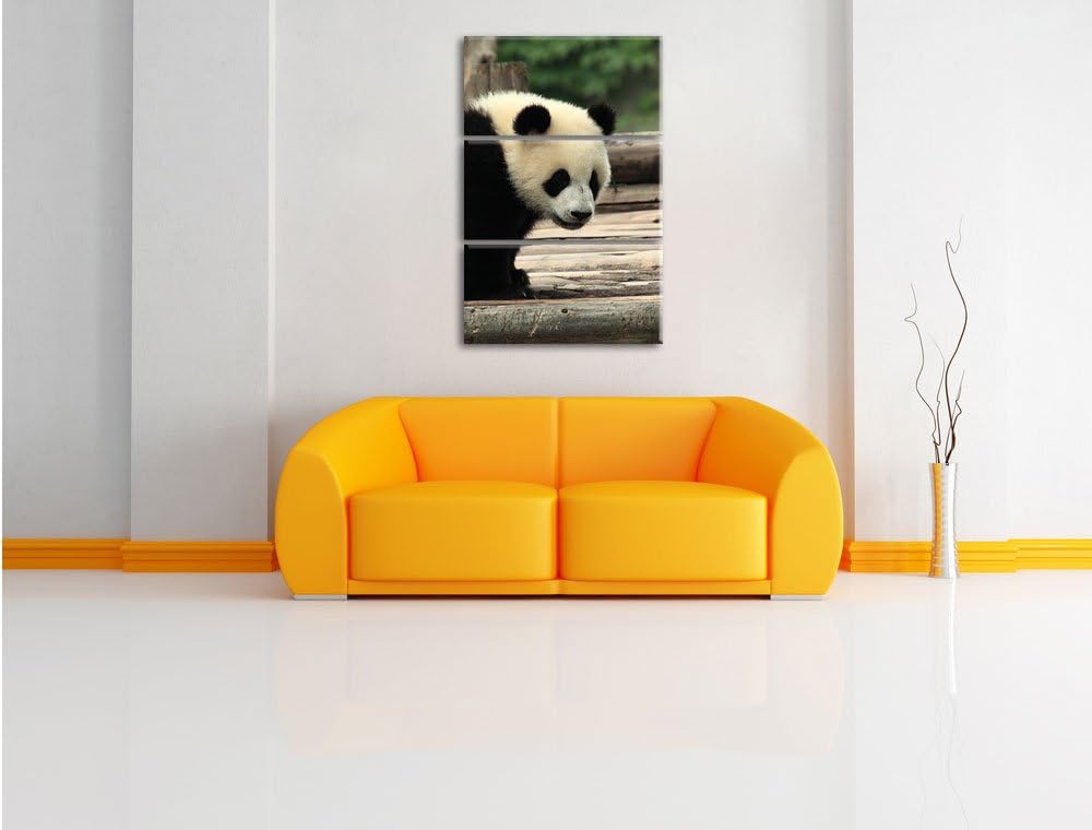 Pixxprint Panda auf Holzstämmen als Leinwandbild/Grösse: 3 Teilig (120x80) cm/Wandbild/Kunstdruck/fe