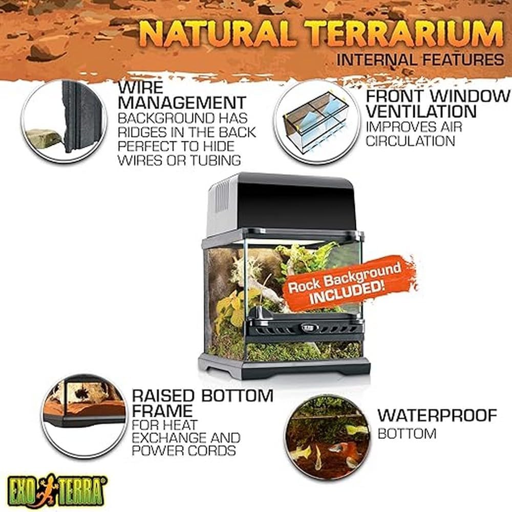 Exo Terra Reptilien Terrarium aus Glas, mit einzigartiger Front Belüftung, 20 x 20 x 20cm, 20 x 20 x