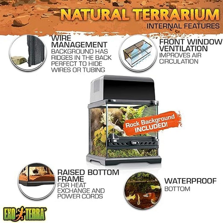 Exo Terra Reptilien Terrarium aus Glas, mit einzigartiger Front Belüftung, 20 x 20 x 20cm, 20 x 20 x