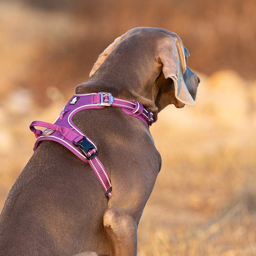 TRUE LOVE Hundegeschirr, kein Ziehen, verstellbar, reflektierend, weiches Nylon, für kleine und gros