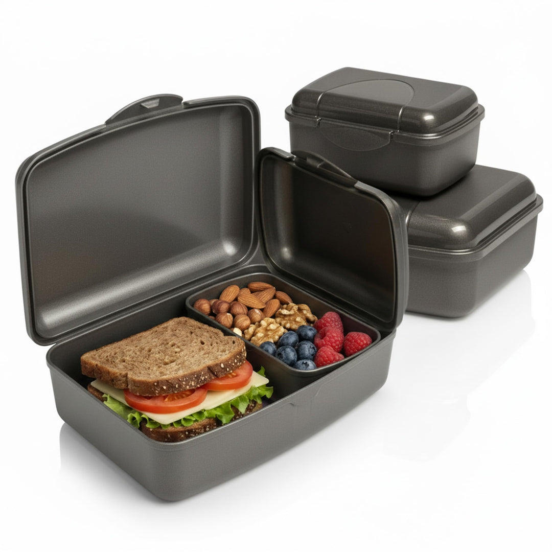 Hausfelder Brotdose Set Erwachsene – 4er Lunchbox Set anthrazit mit 2 grossen (18x14x6,5cm) &amp; 2 klei