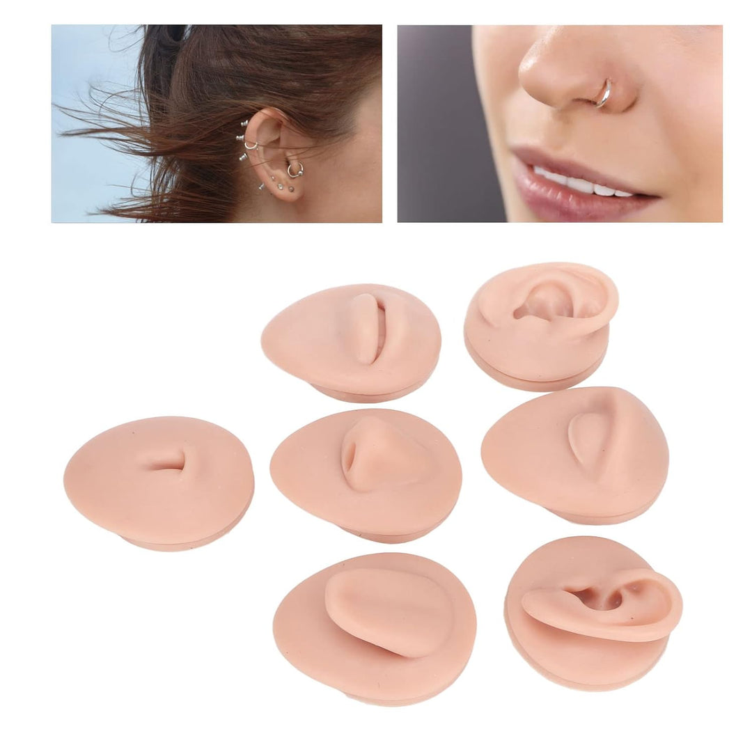 Weiches Silikon, Flexibles Modell, Körperteil-Display-Set, Body-Piercing-Übungsmodell, Simulation, O