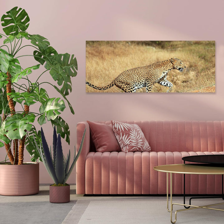 wandmotiv24 Leinwandbild Sri-Lankischer Leopard 100x40cm (BxH) Bilder auf Leinwand, Dekoration Wohnu