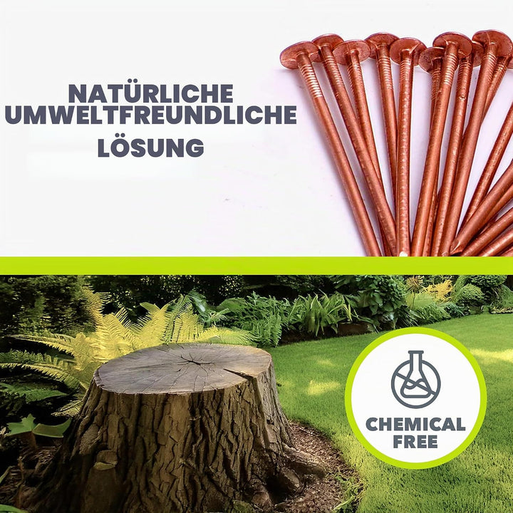 Kupfer Baumstumpf Killer/Massives Kupfer Schlagkraft Nägel - Eltern - 50 x 65mm, 50 x 65mm