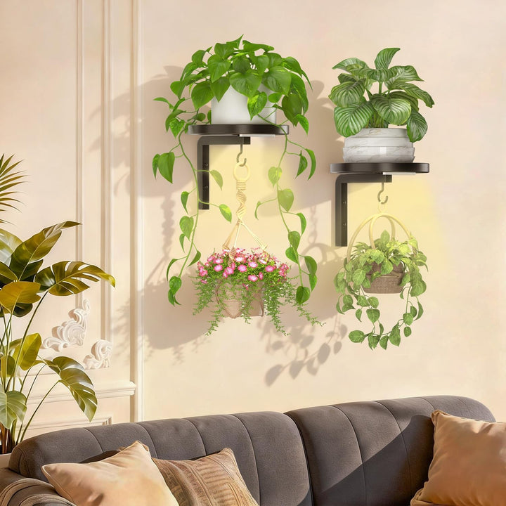 iDavosic.ly Wand Pflanzenhalter Set aus 2 Stück mit Licht, Metall Blumenständer mit 2 Haken, Wandmon