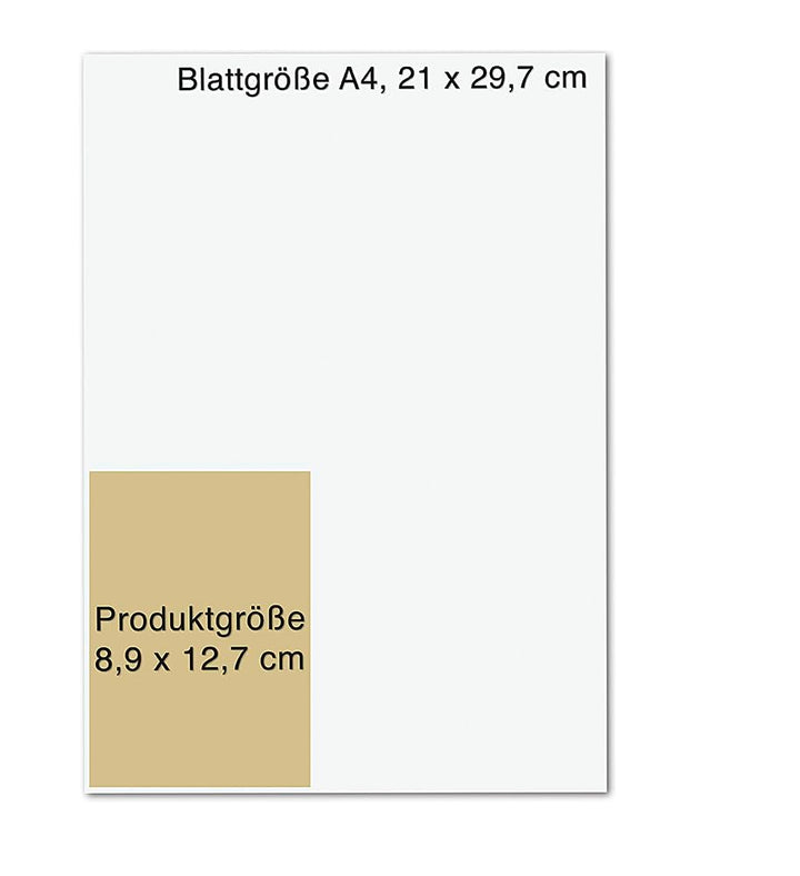 Das Orakel der 7 Energien: 49 Karten mit Anleitungsbuch | Orakelkarten der Bestsellerautorin, Tasche
