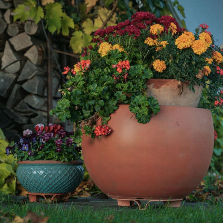 terraced® - 4er Set - Blumentopf Untersetzer - Farbe: Anthrazit - Rund - 16cm Durchmesser – Unterset