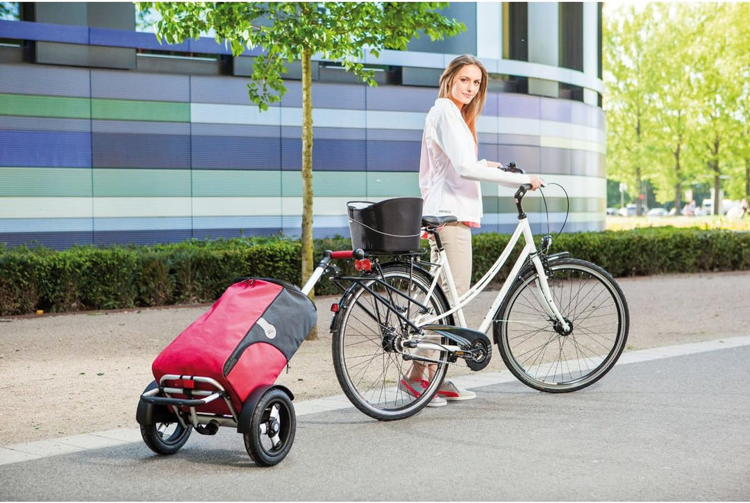 Andersen Shopper Kupplung BigEasy (R1) am Fahrrad Rahmen | mit Schloss