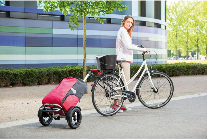 Andersen Shopper Kupplung BigEasy (R1) am Fahrrad Rahmen | mit Schloss