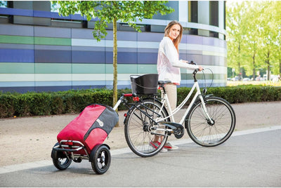 Andersen Einkaufstrolley Erweiterungsset für Fahrräder, Anhängerkupplung für Fahrradgepäckträger, fü