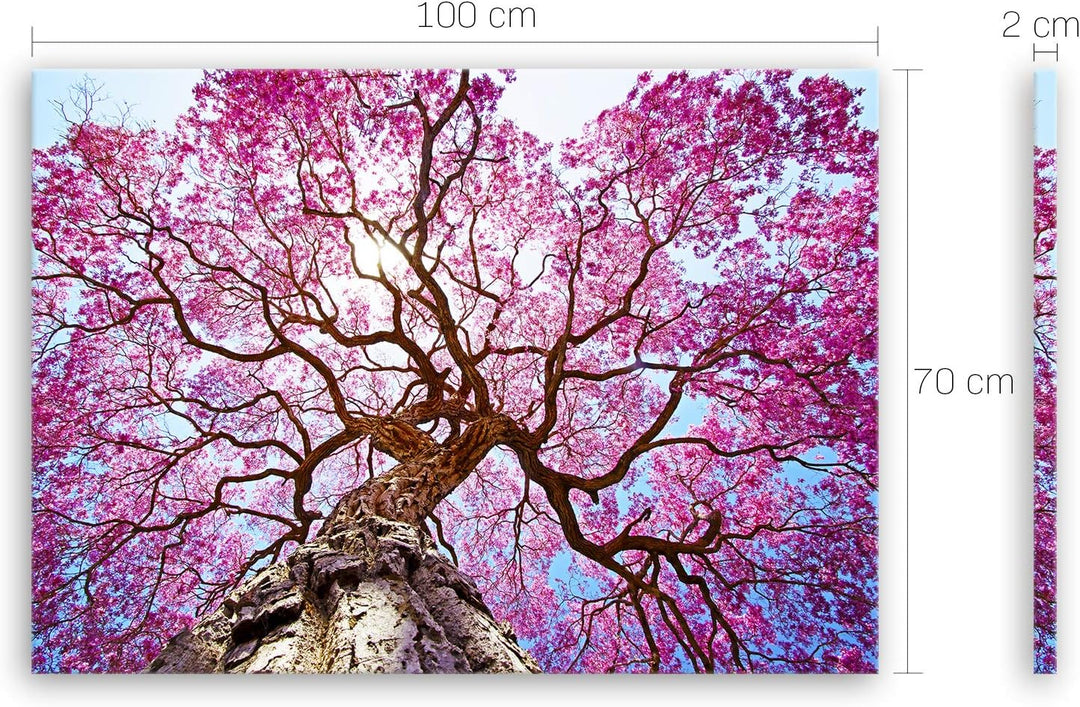 ge Bildet Bild auf Leinwand | Landschaftsbilder Rosa Lapacho Baum in Pocone - Brasilien B in 100x70