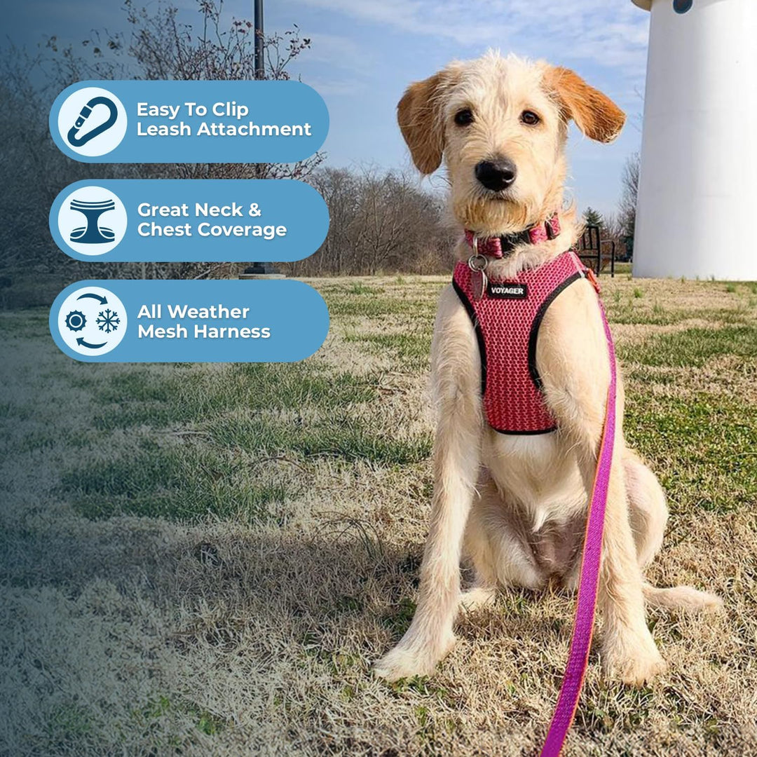 Voyager Step-in-Air Hundegeschirr, Allwetter-Netzgewebe, reflektierend, kein Ziehen, Geschirr für kl