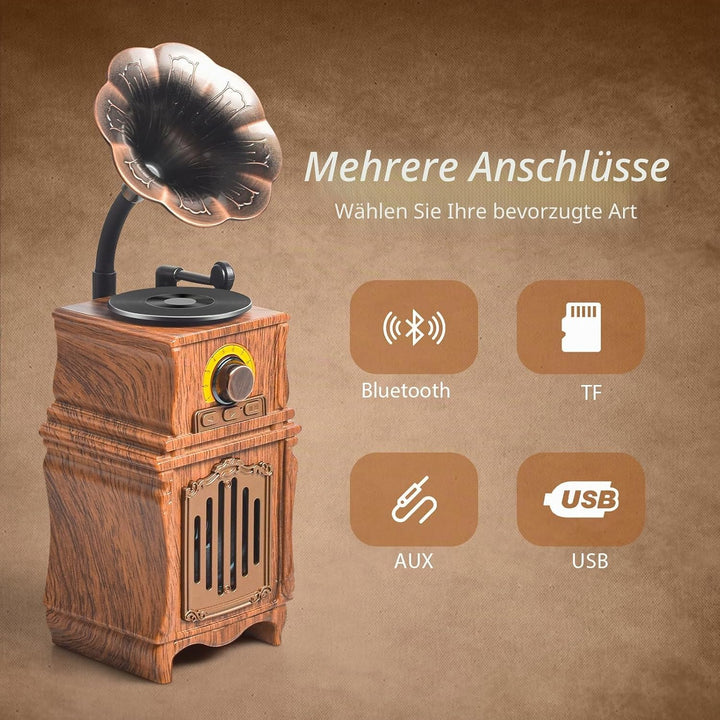 COLSUR Retro Radio Bluetooth 5.3 Lautsprecher Tragbarer Vintage Lautsprecher mit AM FM Radio Wiedera