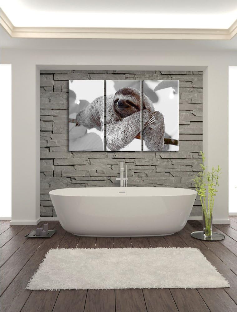 Pixxprint schönes Faultier hängt von AST als Leinwandbild/Grösse: 3 Teilig (120x80) / Wandbild/Kunst
