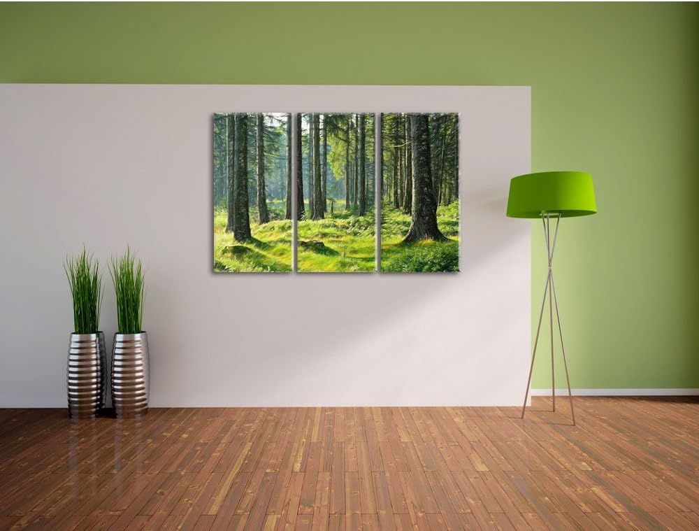 Pixxprint sonniger Tag im Wald / 3-Teilig/Gesamtmass 120cm Leinwandbild bespannt auf Holzrahmen/Wand