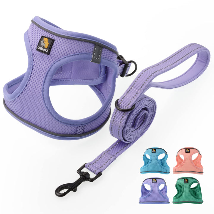 BELLA &amp; PAL Hundegeschirr Kleine Hunde mit Leine, Step-in Geschirr aus Air Mesh, Anti Zug Reflektier