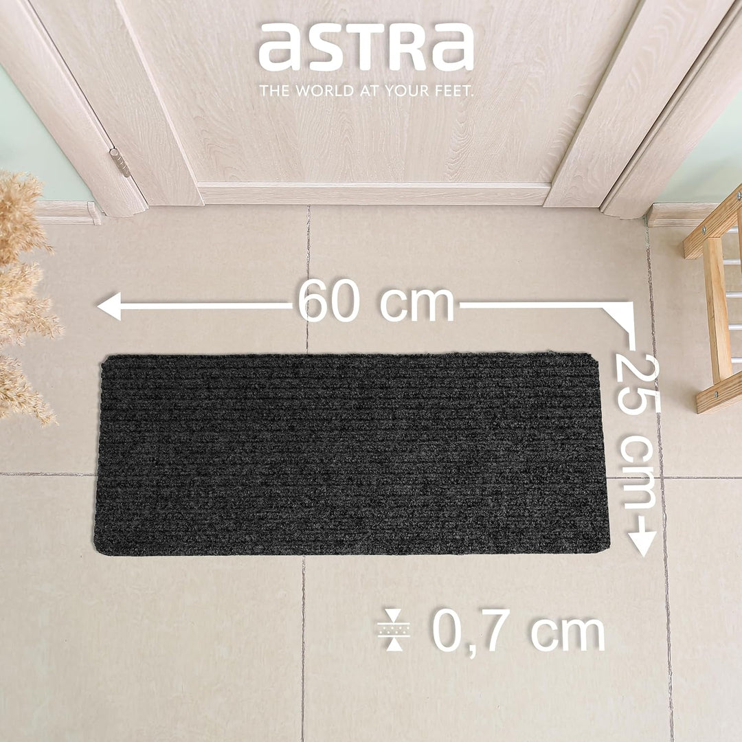 Astra Fussmatte innen anthrazit Schmutzfangmatte rutschfest – Türmatte 25x60 cm 3er Set wasserabweis