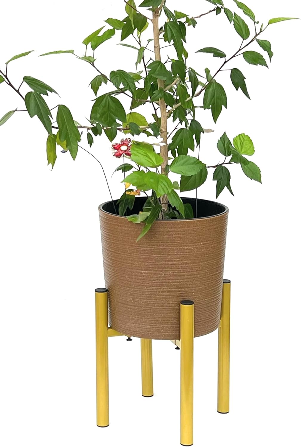 DanDiBo Verstellbarer Pflanzenständer Gold Metall 30 cm Blumenständer 96474 Blumenhocker Verstellbar