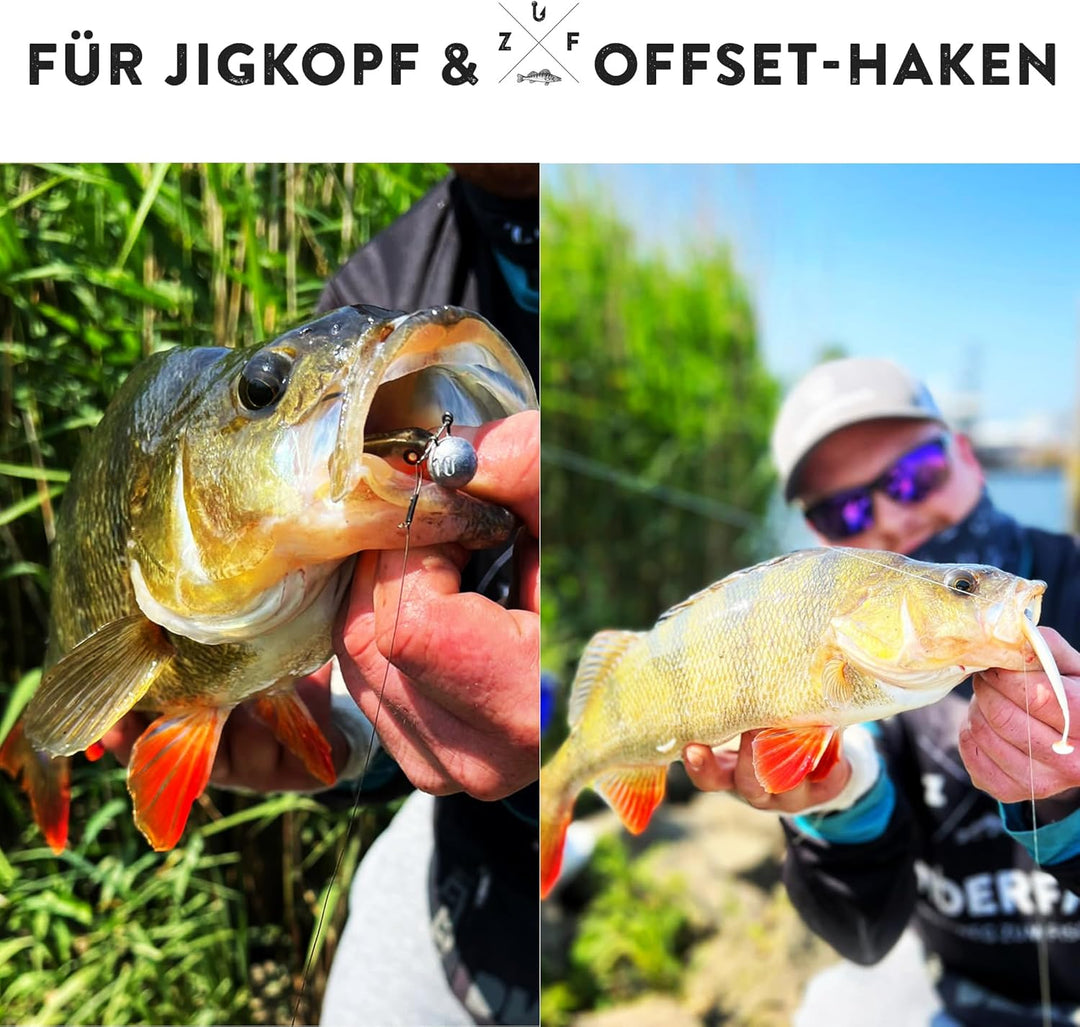 Zanderfang - Gummifische Set - Glasaugen Gummiköder für Zander, Barsch, Hecht - mit Fischaroma aroma