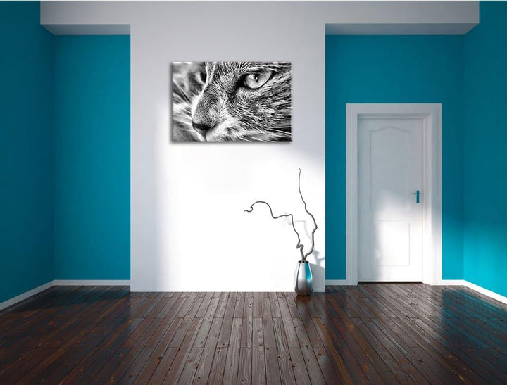 Pixxprint Katze mit blauen Augen als Leinwandbild/Grösse: 100x70 / Wandbild/Kunstdruck/fertig bespan