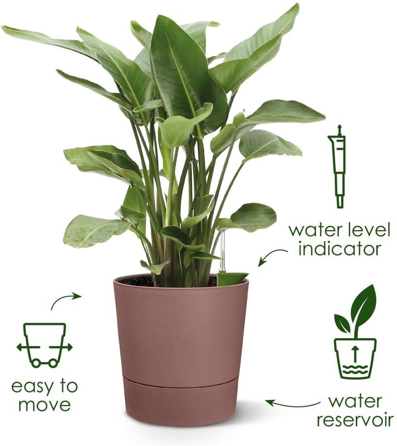 elho Greensense Aqua Care Rund 30 mit Integrierte Wasserspeicher - Blumentopf für Innen & Aussen - 1