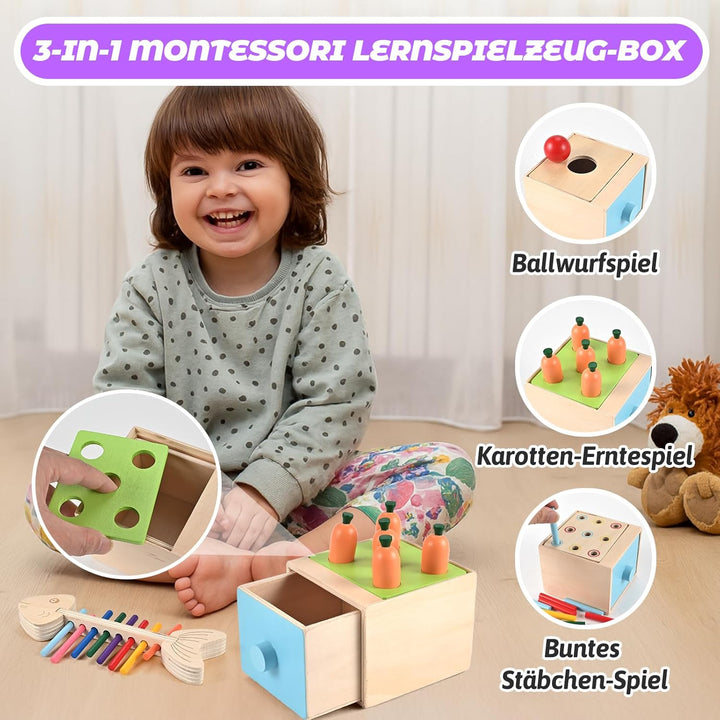 Wooderma Montessori Spielzeug ab 12 Monaten – Holzspielzeug Set mit Sortierspiel, Stapelspiel, Forme