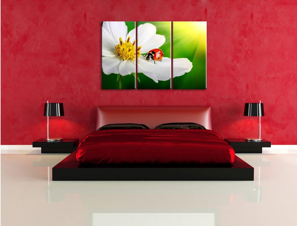 Pixxprint Marienkäfer auf Einer weissen Blume als Leinwandbild/Grösse: 3 Teilig (120x80) / Wandbild/