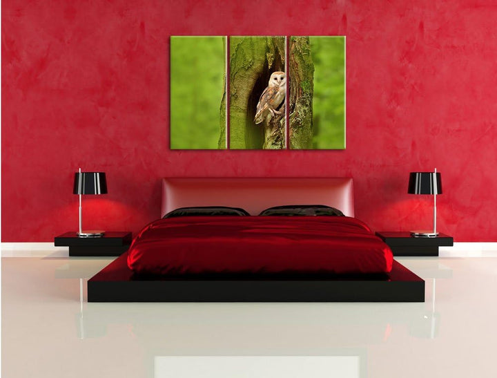 Pixxprint Schleiereule in der Baumhöhle 3-Teiler Leinwandbild 120x80 Bild auf Leinwand
