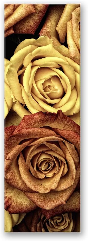 Feeby Wanddeko Rose Leinwandbild Kunstdruck abstrakt Braun 40x100 cm Leinwandbild 40x100 cm Braun_a,