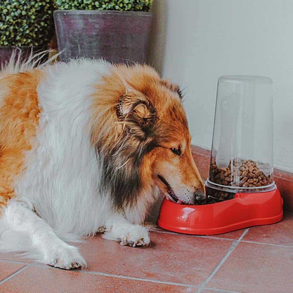 Ferplast Futter- oder Wasserspender für Hunde und Katzen AZIMUT 3000 Trockenfuttertrog 3 Liter Wasse