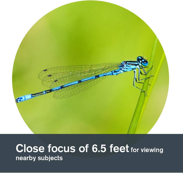 Celestron 71404 TrailSeeker 8 x 42mm Dachkantgläser mit dielektrisch beschichteter Linse, BaK-4-Pris