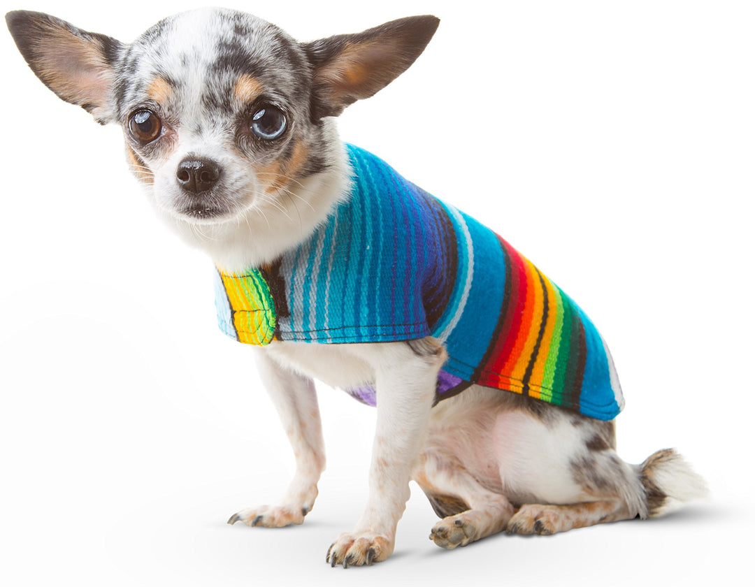 Hundebekleidung, handgefertigter Hundeponcho aus authentischer mexikanischer Decke, Blau, Grösse XXS