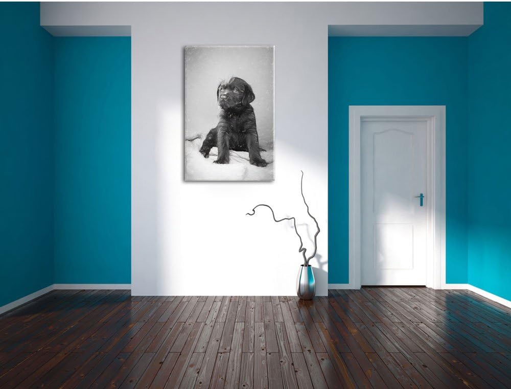 Pixxprint Hundewelpe auf Pullovern als Leinwandbild/Grösse: 100x70 cm/Wandbild/Kunstdruck/fertig bes
