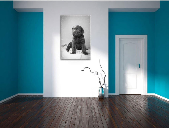 Pixxprint Hundewelpe auf Pullovern als Leinwandbild/Grösse: 100x70 cm/Wandbild/Kunstdruck/fertig bes