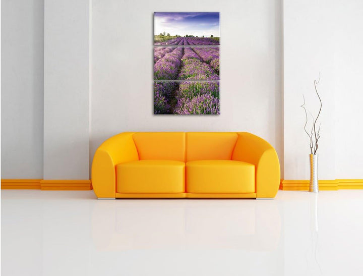 Pixxprint Lavendelfeld Provence als Leinwandbild/Grösse: 3 Teilig (120x80) cm/Wandbild/Kunstdruck/fe