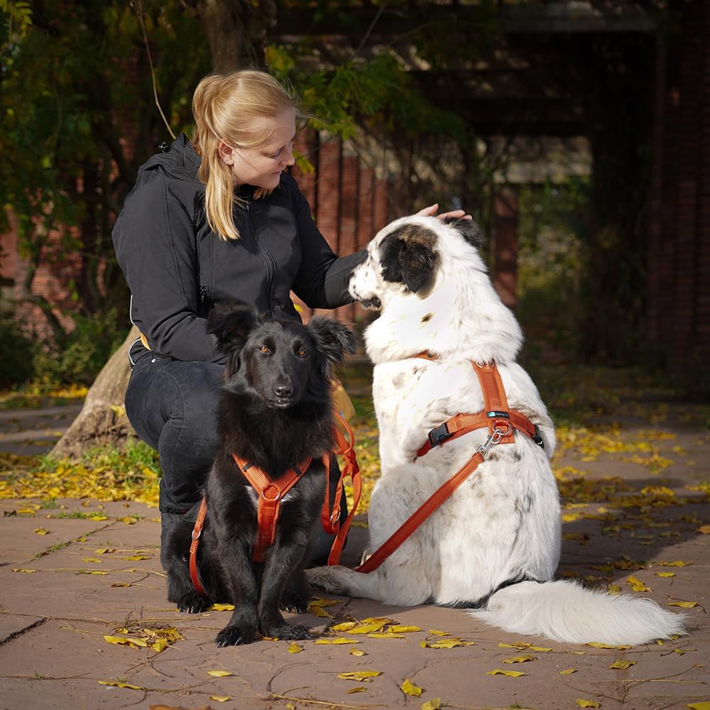 Anny-X Brustgeschirr Fun Ahorn | Hundegeschirr Grösse M (Brustumfang 62-74 cm), M