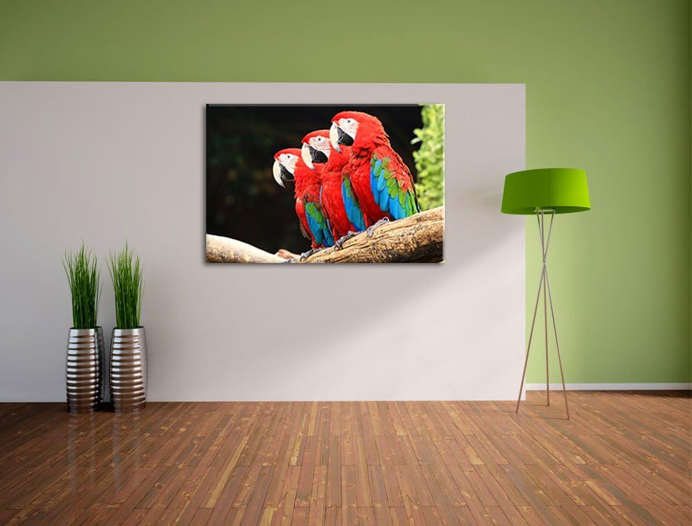 Papageien auf AST Format: 100x70 auf Leinwand, XXL riesige Bilder fertig gerahmt mit Keilrahmen, Kun