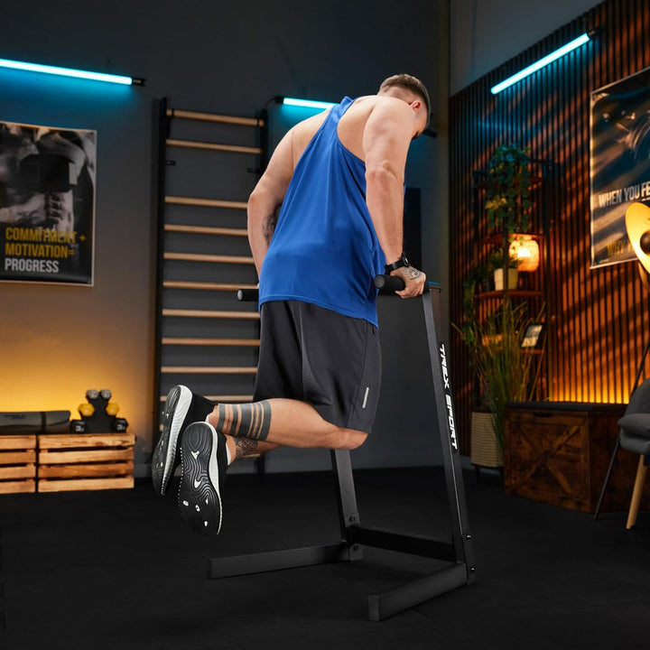 TREX SPORT Dip Barren Dip Station TX-035DS | Push Up Dip Ständer aus Stahl, Stabil & Rutschfest, bis