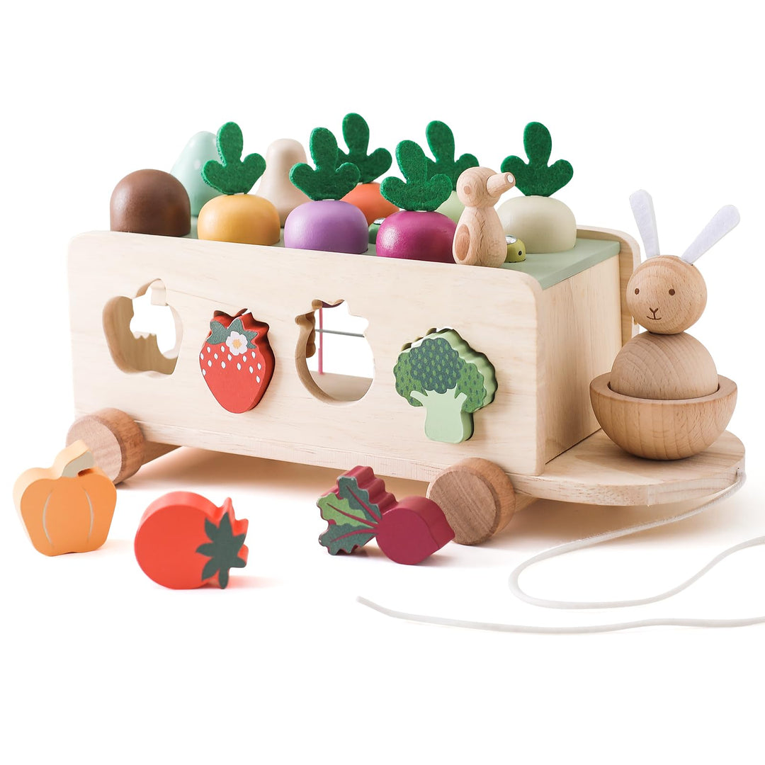 WOODEN TEETHER Montessori Holzspielzeug ab 1 2 3 Jahr, Steckspiel Sortierspiel Holzpuzzle Karottener