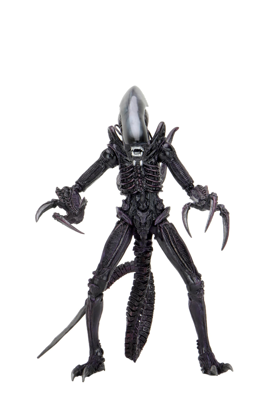 Alien 7" Actionfigur Razor Claws Alien vs. Predator grau, Bedruckt, 100 % Kunststoff, von NECA