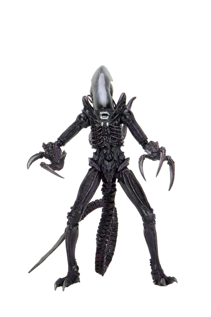 Alien 7" Actionfigur Razor Claws Alien vs. Predator grau, Bedruckt, 100 % Kunststoff, von NECA